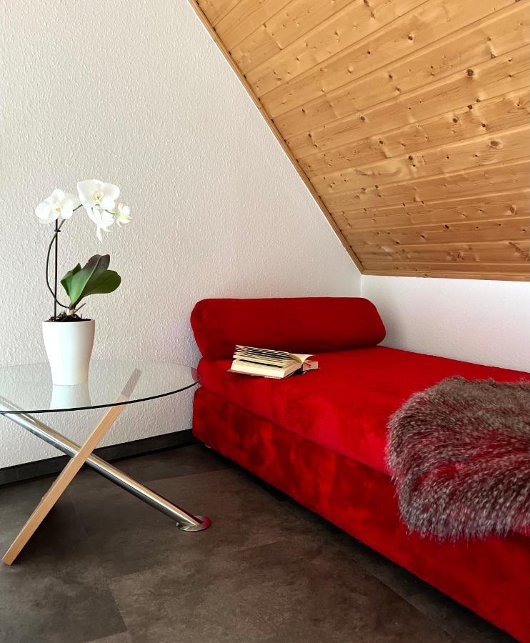 Anton-Ulrich Apartment Майнинген Экстерьер фото