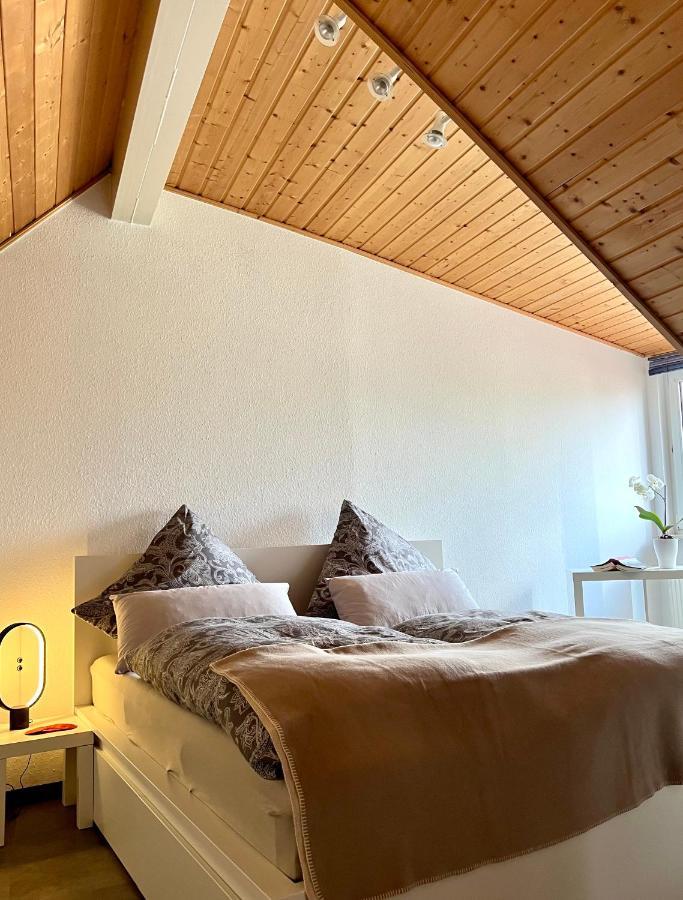 Anton-Ulrich Apartment Майнинген Экстерьер фото