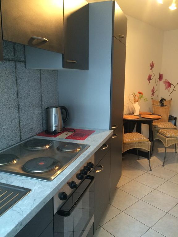 Anton-Ulrich Apartment Майнинген Экстерьер фото